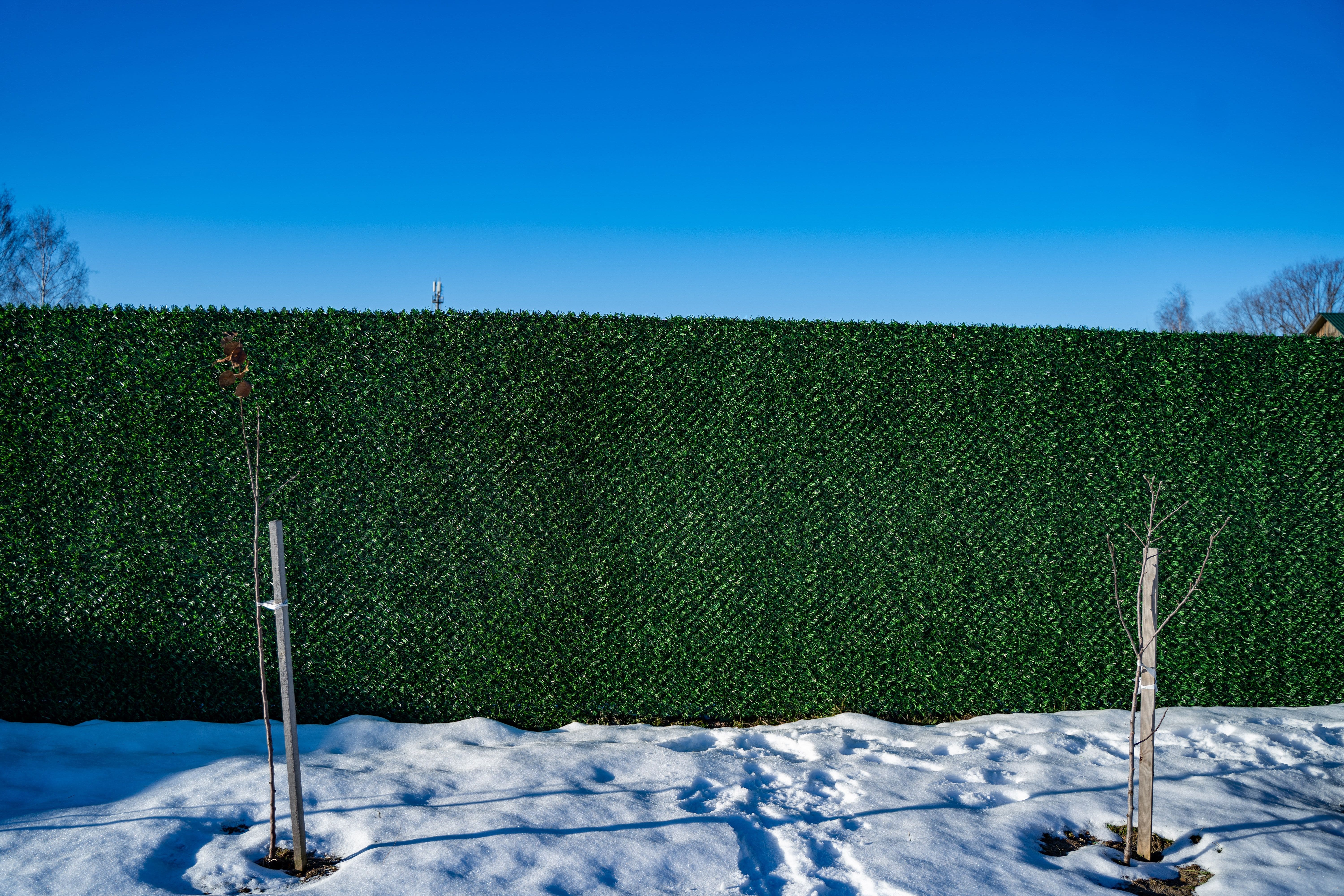 Вечнозеленый забор Grass Fence рулон 2м фото 8 в Джанкое